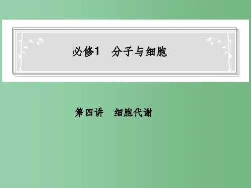 高中生物 第4讲 细胞代谢课件 新人教版必修1