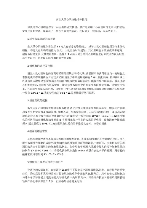 新生大鼠心肌细胞培养技巧