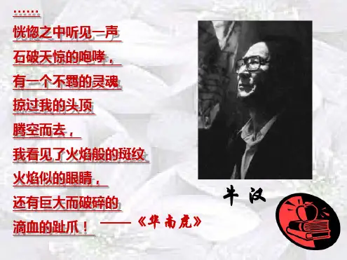 八年级语文下册我的第一本书课件