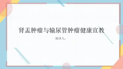 肾盂肿瘤和输尿管肿瘤健康宣教PPT课件