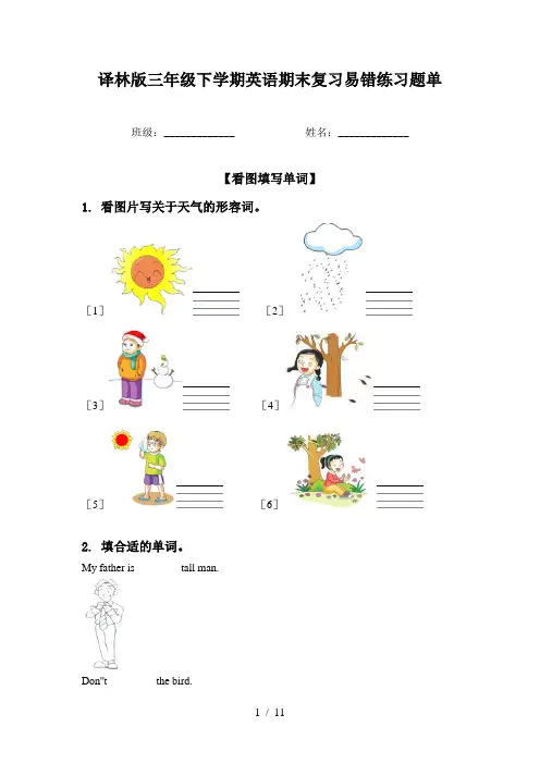 译林版三年级下学期英语期末复习易错练习题单