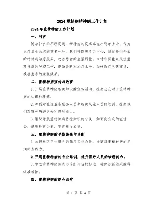 2024重精症精神病工作计划
