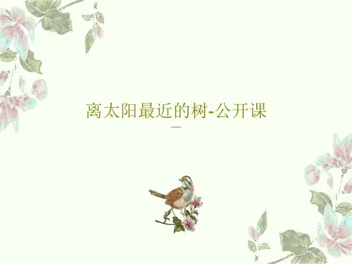 离太阳最近的树-公开课PPT共29页