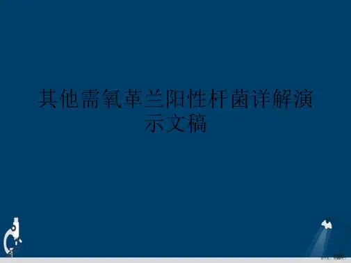 其他需氧革兰阳性杆菌详解演示文稿