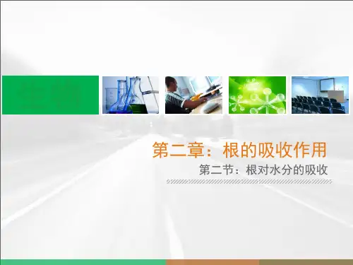 高中生物课件-2 2根对水分的吸收