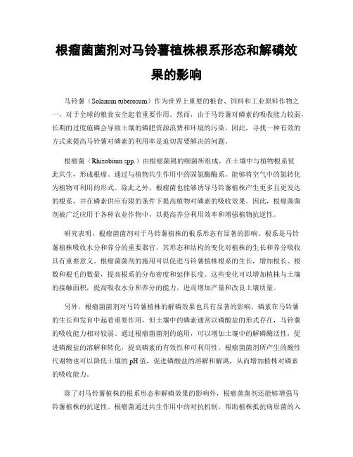 根瘤菌菌剂对马铃薯植株根系形态和解磷效果的影响