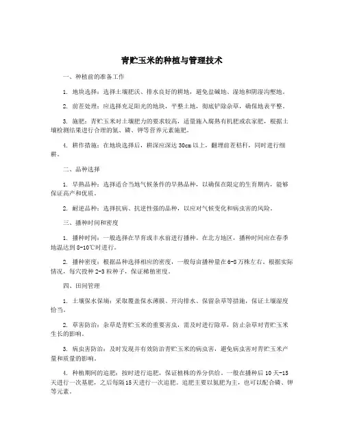 青贮玉米的种植与管理技术