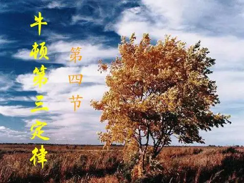 第六节 作用力与反作用力