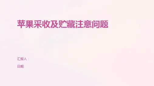 苹果采收及贮藏注意问题