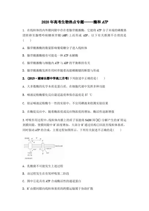 2020年高考生物热点专题 酶和ATP(附答案解析)
