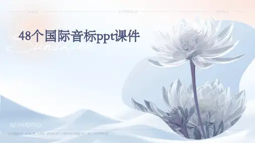 48个国际音标ppt课件