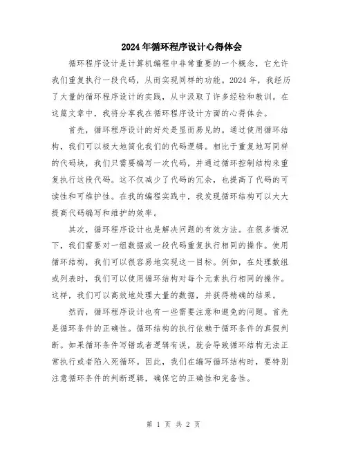 2024年循环程序设计心得体会