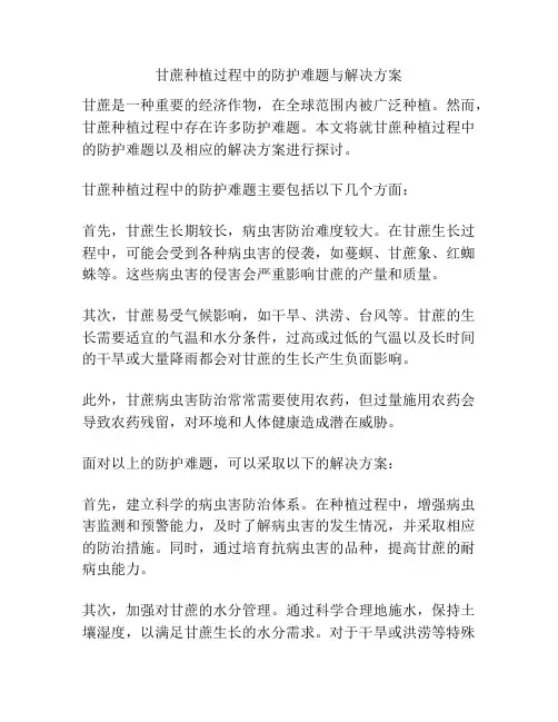 甘蔗种植过程中的防护难题与解决方案