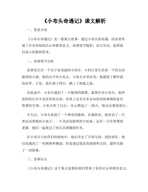 《小布头奇遇记》课文解析