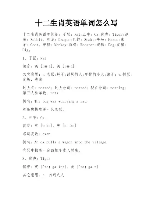 十二生肖英语单词怎么写 