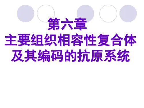 主要组织相容性复合体及其编码的抗原系统