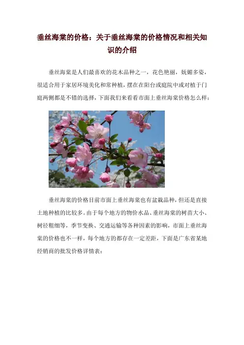 垂丝海棠的价格：关于垂丝海棠的价格情况和相关知识的介绍