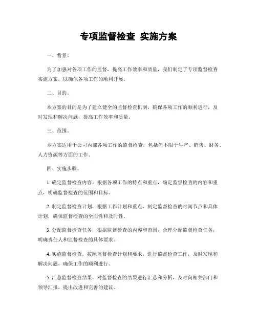 专项监督检查 实施方案