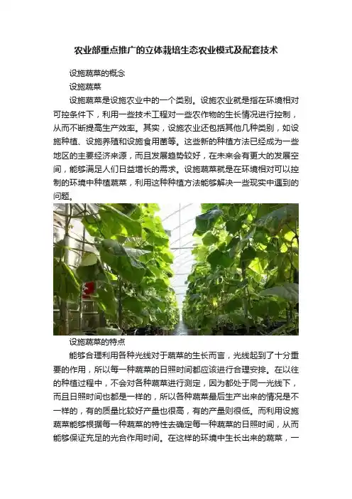 农业部重点推广的立体栽培生态农业模式及配套技术