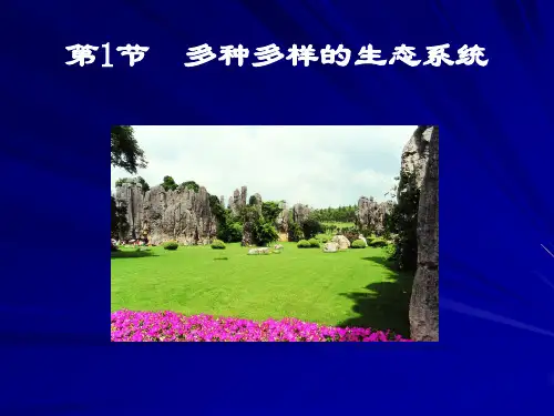生态系统 完整版课件PPT