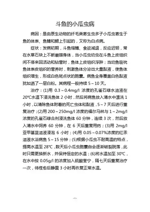 斗鱼的小瓜虫病