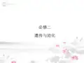 高考生物一轮复习 41 基因突变及其他变异课件 新人教版必修2
