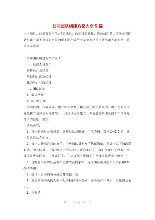 公司团队组建方案大全5篇