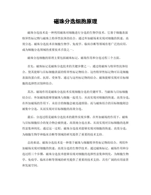 磁珠分选细胞原理