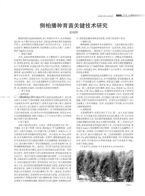 侧柏播种育苗关键技术研究