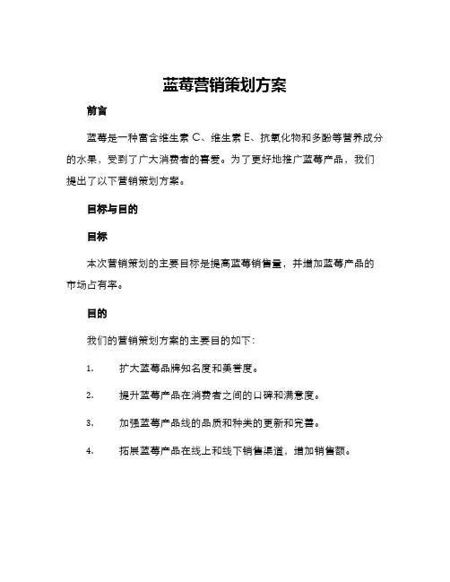 蓝莓营销策划方案