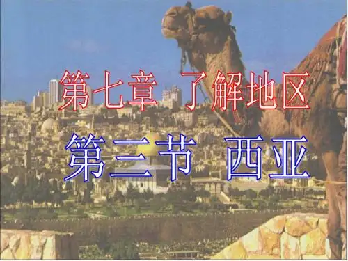 西亚公开课课件