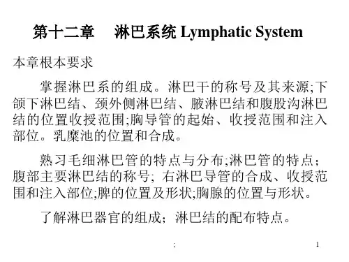 人体解剖学-淋巴系ppt课件