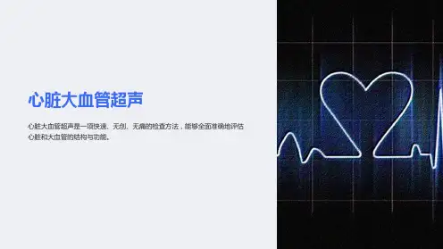 心脏大血管超声