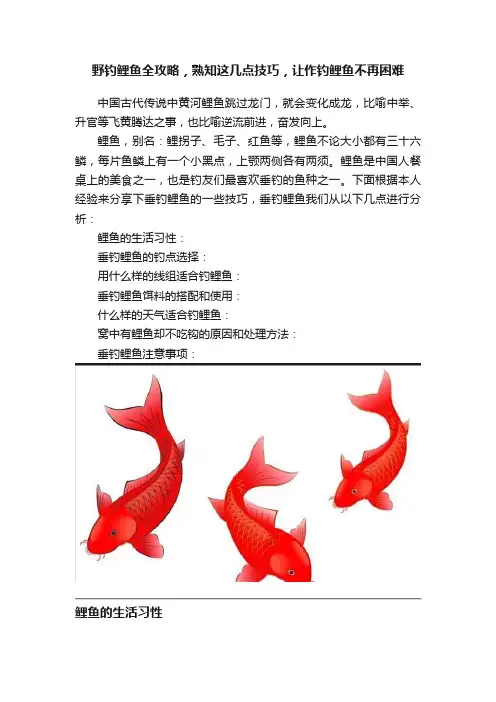 野钓鲤鱼全攻略，熟知这几点技巧，让作钓鲤鱼不再困难