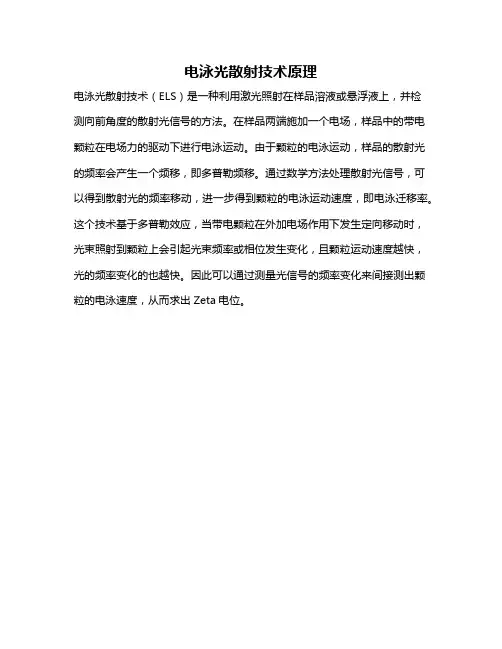 电泳光散射技术原理