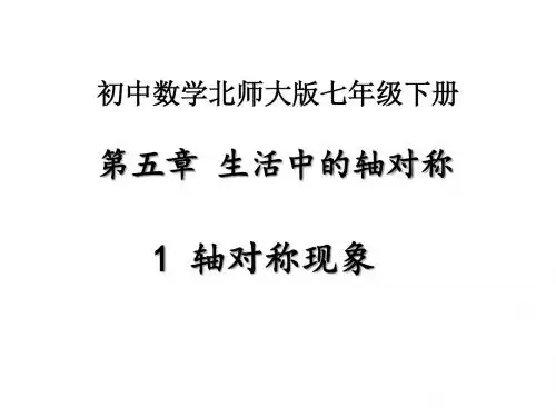 (新)北师大版七年级数学下册第五章《生活中的轴对称》课件(精品)