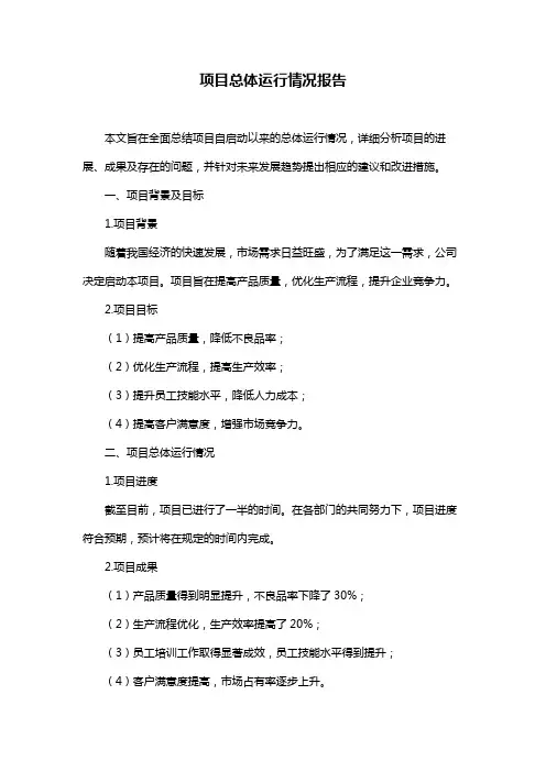 项目总体运行情况报告
