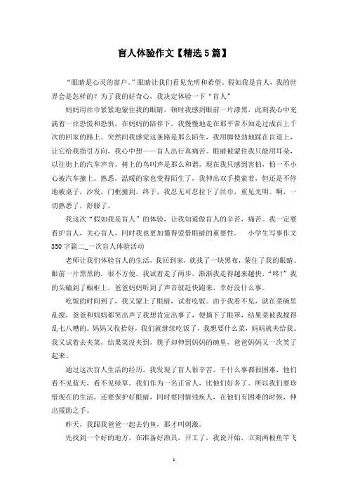 精选盲人体验作文【5篇】