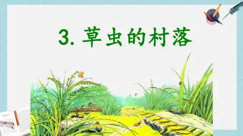 人教六年级语文上册课件：《草虫的村落》ppt课件