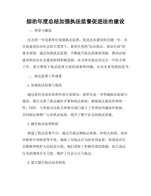 综治年度总结加强执法监督促进法治建设