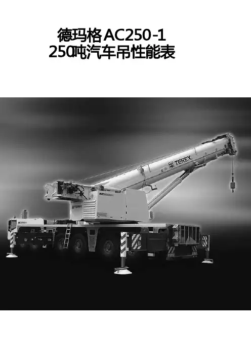 250吨汽车吊   德玛格AC250-1