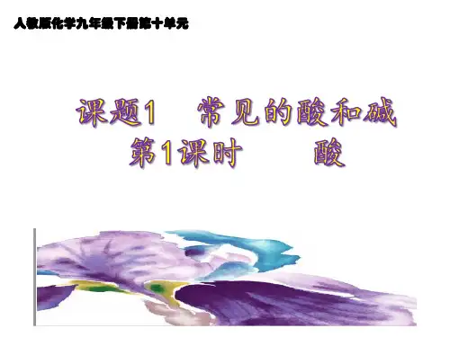 10.1 常见的酸和碱  第1课时 课件 人教版九年级下册化学