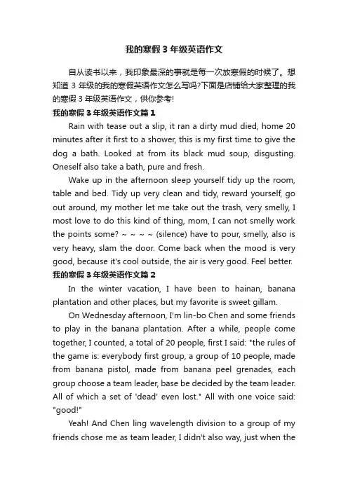 我的寒假3年级英语作文