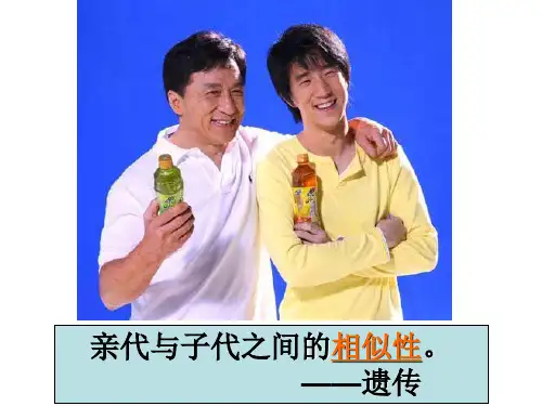 人教版高中生物必修二第一章第1节《孟德尔的豌豆实验(一)》优秀课件(60张)(共60张PPT)