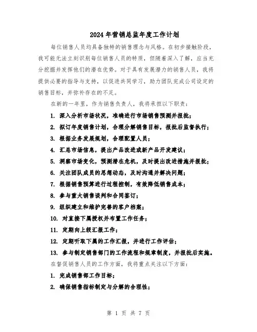 2024年营销总监年度工作计划（三篇）