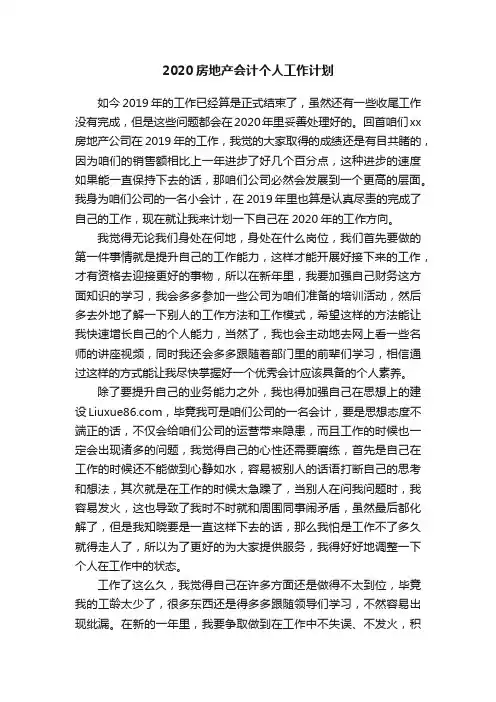 2020房地产会计个人工作计划