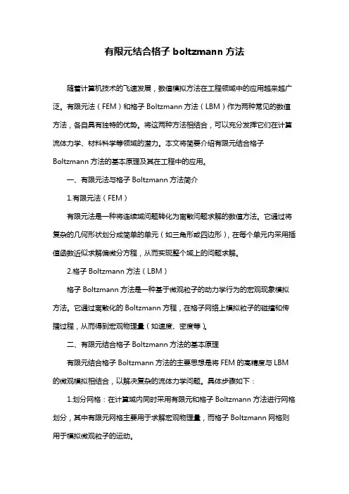 有限元结合格子boltzmann方法