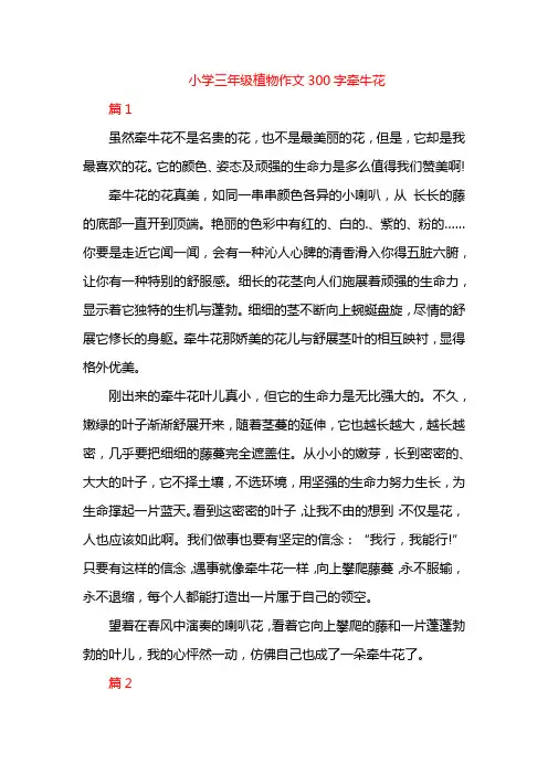 小学三年级植物作文300字牵牛花