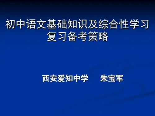 中考复习策略精选教学PPT课件