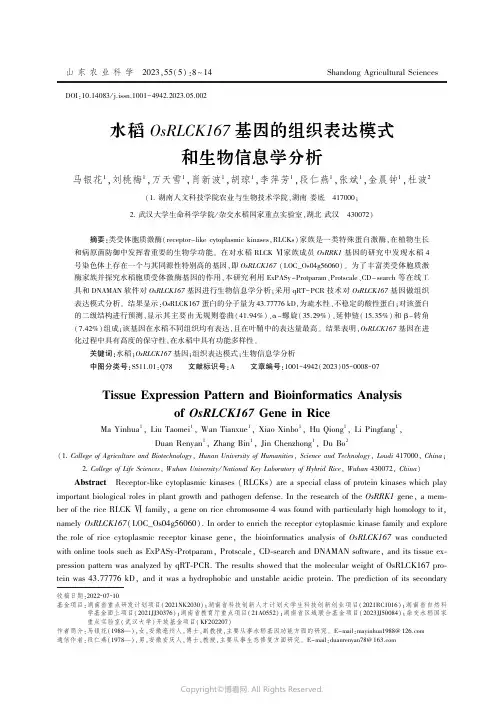 水稻OsRLCK167基因的组织表达模式和生物信息学分析